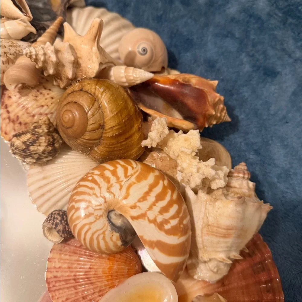 Large round seashell mirror. Natural seashells, crab, sea star, lobster 28” diam
